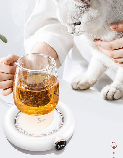 a glass of alcohol sitting on top of a white plate 